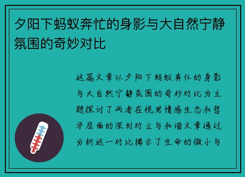 夕阳下蚂蚁奔忙的身影与大自然宁静氛围的奇妙对比